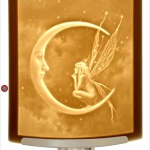 PORCELAIN GARDEN Lithophane night light fairy on moon/New in box